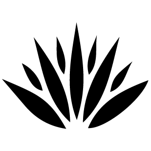 Sucursal Guadalajara